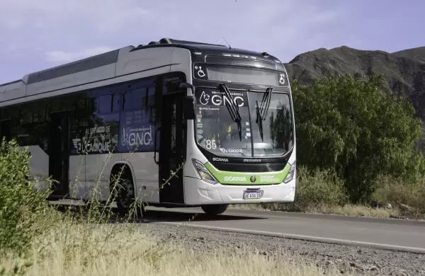 Cuáles son los sectores de la economía argentina que impulsarán la venta de camiones