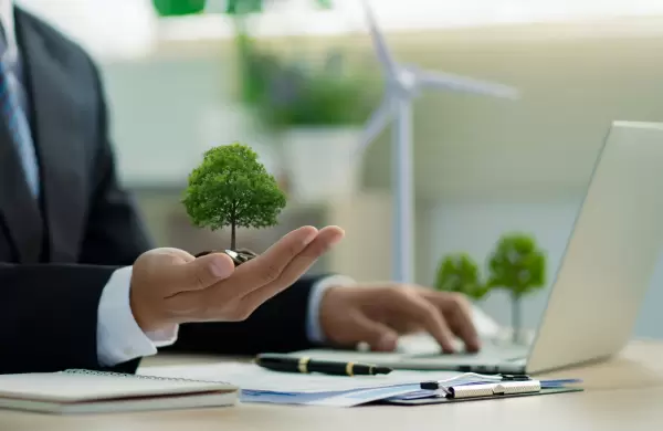 Un estudio global muestra cmo las carteras sostenibles son un imn para los inversores