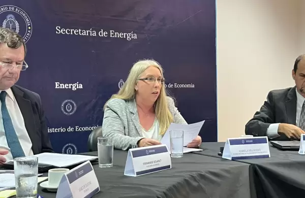 Cmo es el nuevo esquema de subsidios que present el Gobierno