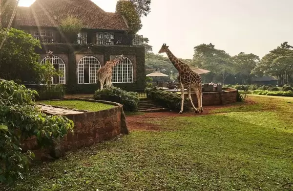 Catorce increíbles hoteles de vida silvestre para tu próxima aventura