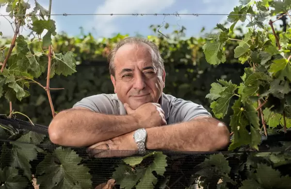 Walter Bressia, presidente de Bodegas de Argentina: “Para exportar más necesitamos que se acomode la macroeconomía y baje la inflación”
