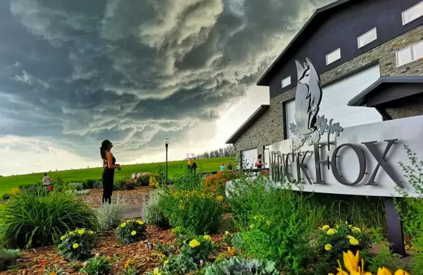 Los secretos de la nica destilera del mundo que envejece el whisky al aire libre