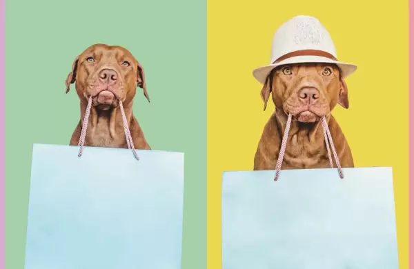El mercado de las mascotas crece y abre nuevas oportunidades de negocio