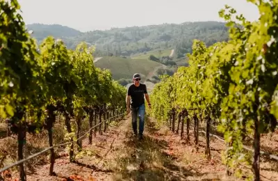 De Mendoza al mundo: por qué los mejores vinos provienen de viñedos de gran altura
