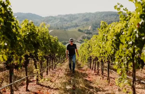 De Mendoza al mundo: por qu los mejores vinos provienen de viedos de gran altura