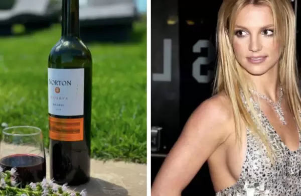 El efecto Britney Spears para Bodega Norton: viralización sin precedentes, aumento de ventas y cupón de descuento