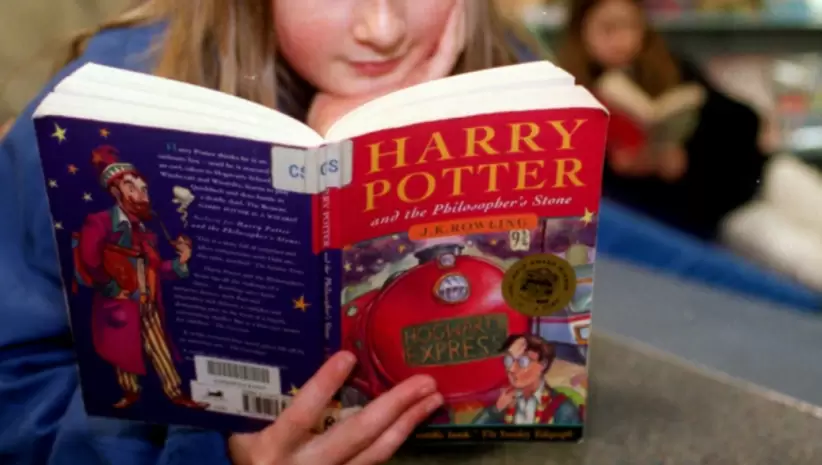 Harry Potter saga original ilustracin
