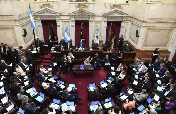 Ya hay fecha para tratar la Ley Bases en el Senado: los artículos clave que podrían complicar al oficialismo