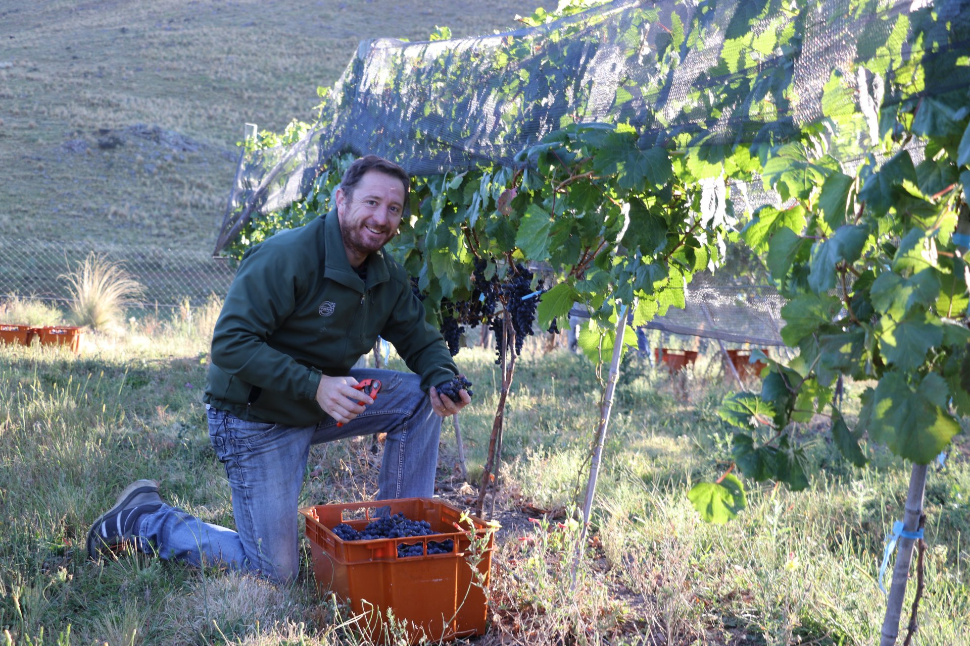Alma minera: vinos sostenibles nacidos del coraz&oacute;n de las sierras