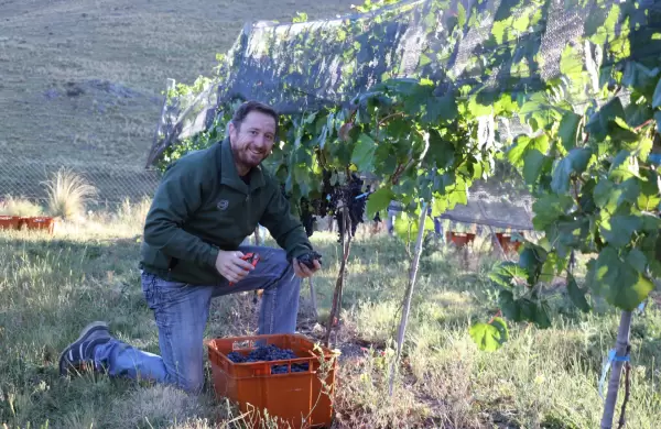 Alma minera: vinos que nacieron en el corazón de las sierras con una propuesta sostenible