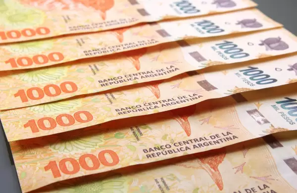 Lecaps, Boncaps y Boncer, los instrumentos financieros en pesos que mira el mercado para ganarle al dólar