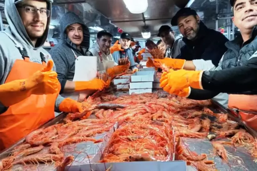 la pesca del langostino en el mar argentino