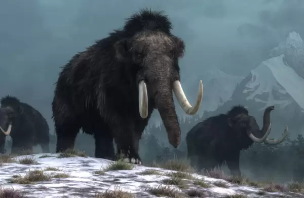 Nuevas evidencias de ADN desafan la teora de la extincin del mamut lanudo