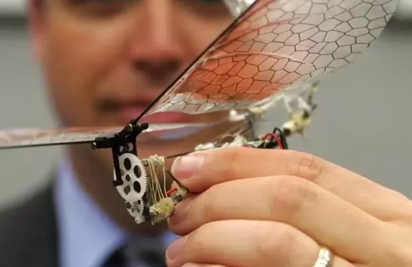 Crean drones autnomos cuyo diseo se inspira en insectos que tienen comportamientos sociales