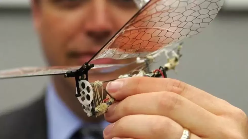 Crean drones autónomos cuyo diseño se inspira en insectos que tienen ...