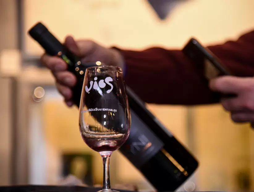 Feria de vinos organicos y sustentables 2024