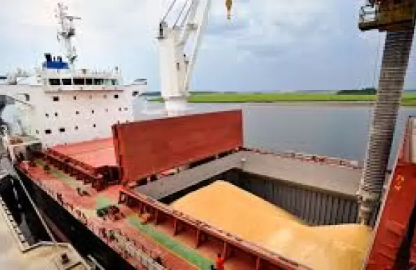 Otro efecto no deseado de las inundaciones en Bahía Blanca: el cambio que achicará la rentabilidad de exportadores