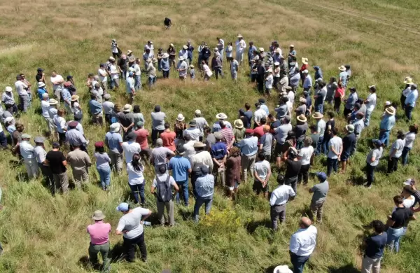 As ser Regenera Latam, el evento que reunir a productores agropecuarios y empresas por la regeneracin