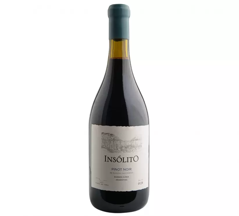 insolito pinot noir