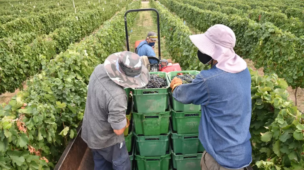 La Pampa produccin