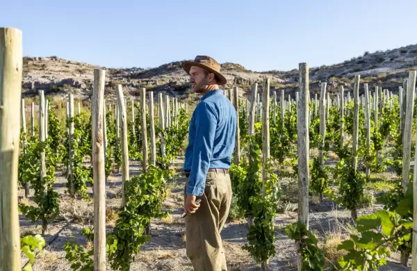 Por qu los chinos pusieron el ojo en los vinos patagnicos?