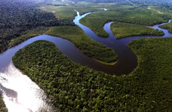 Eco- ansiedad: una preocupacin que persiste y requiere actuar urgente