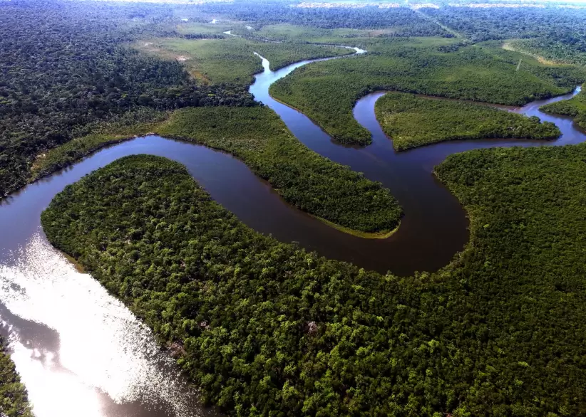 amazonia