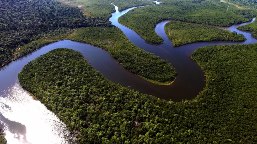 amazonia
