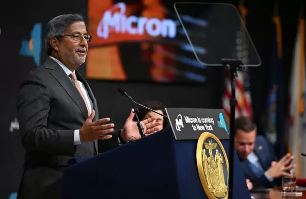 Subi un 50% y luego cay un 25%: qu hay que saber sobre Micron?