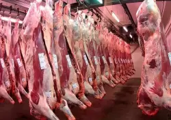 Más cuota, menos precio: China implementa nuevas medidas y propone un nuevo escenario para la carne argentina