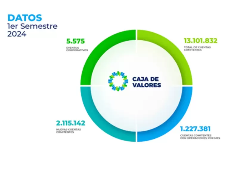 Panorama de las cuentas comitentes abiertas en el pas (FUENTE: BYMA).