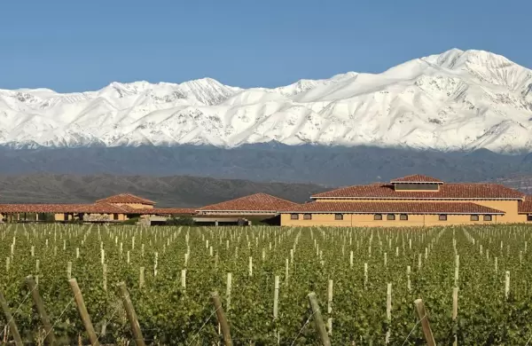 Las claves detrs del movimiento vitivincola sustentable en Argentina