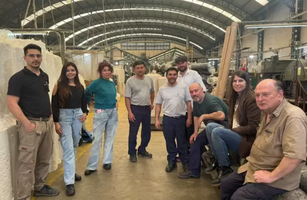 Transformar residuos en valor para revolucionar la construccin con lana de oveja