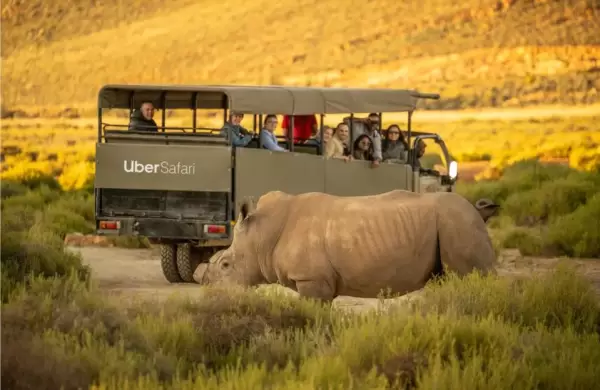 Uber Safari se lanza en Sudfrica con recorridos que llegan hasta slo los 50 dlares por persona