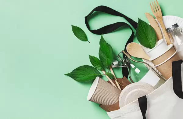 Ahorro versus medio ambiente: ¿cómo adoptan los argentinos prácticas ecológicas?