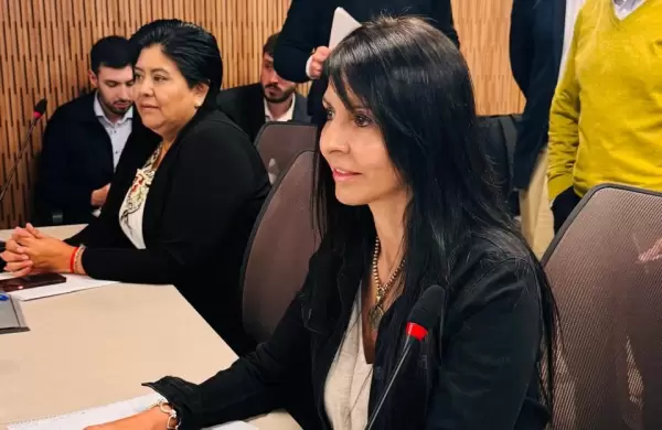 Exclusivo: Cmo es el nuevo proyecto de biocombustibles que el Gobierno presenta hoy en Diputados