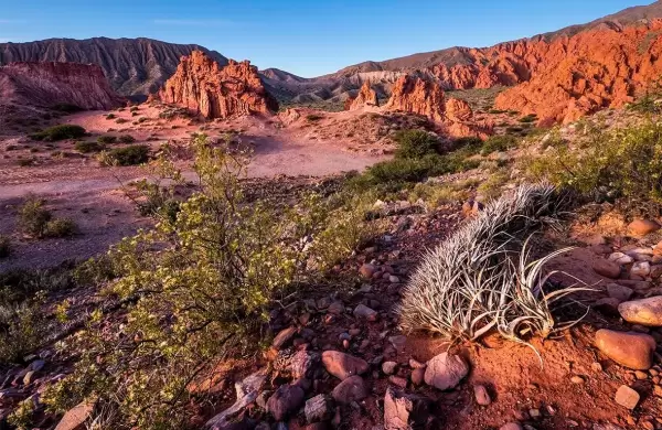Desde Argentina hasta Australia: 15 viajes increbles para hacer en 2025
