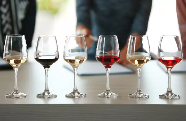 Cules son los 24 nuevos vinos argentinos del 2024?