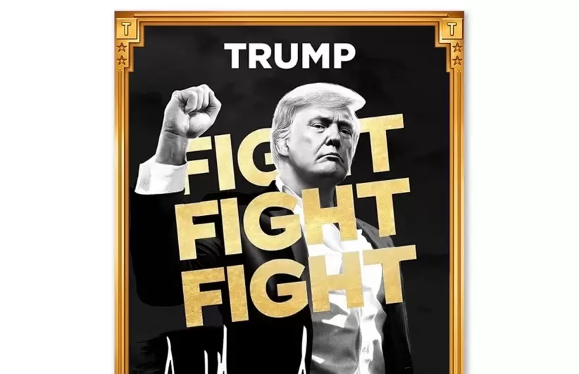 $trump memecoin cuadro