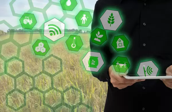El futuro del agro argentino: cómo las fintechs pueden ser aliadas estratégicas