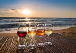 Diez vinos ideales para disfrutar del verano 2025