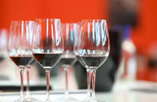 Vinos argentinos en Wine Paris 2025: las novedades de una de las ferias vitivinícolas más grandes del mundo