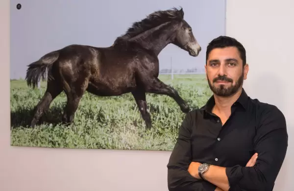 Caballos clonados y editados: la empresa argentina detrás de los primeros equinos de diseño genético del mundo