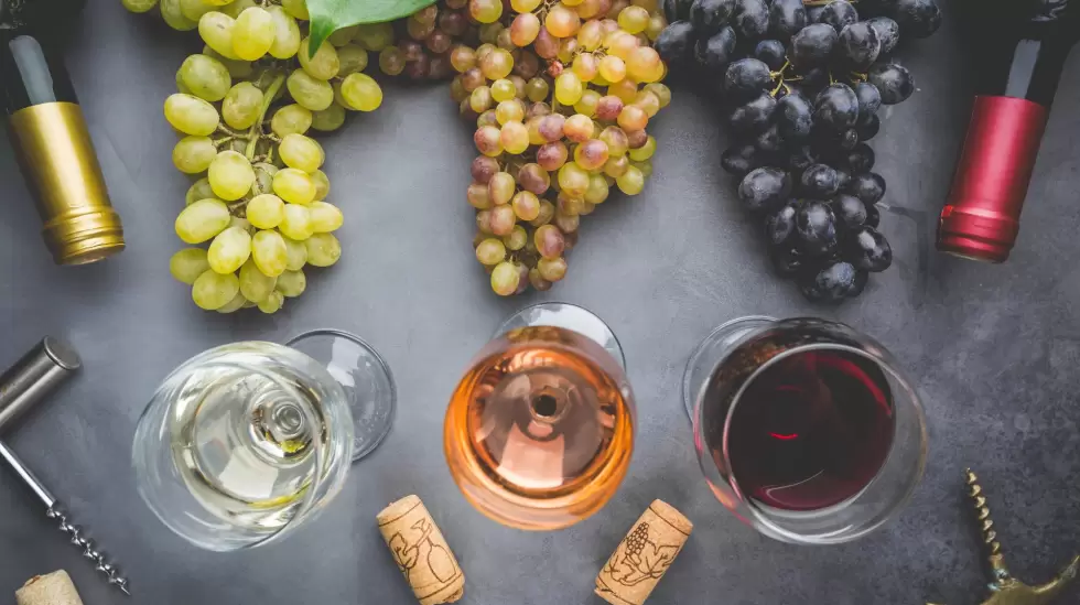 3 tipos de vinos uvas tinto blanco