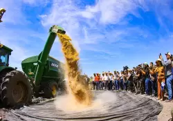 La guerra encarece costos y achica las ganancias de una cosecha récord para el campo pero garantiza el flujo de dólares para el Banco Central