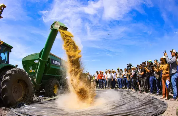 La guerra encarece costos y achica las ganancias de una cosecha récord para el campo pero garantiza el flujo de dólares para el Banco Central