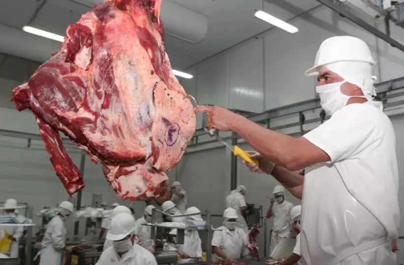 Exportacin de carne