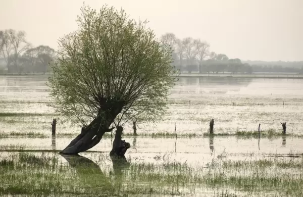 La inaccin climtica costar un tercio del PBI mundial y se encienden alertas entre los especialistas