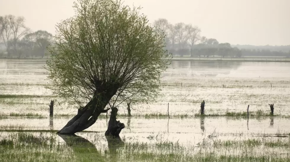 Inundaciones