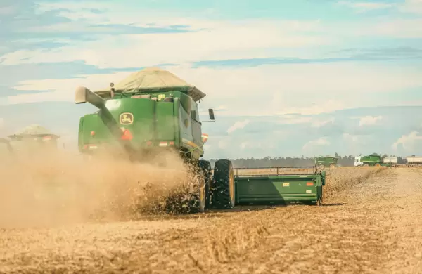 Un anlisis de cmo logr Brasil superar a EE.UU. en los mercados mundiales de produccin y exportacin de soja